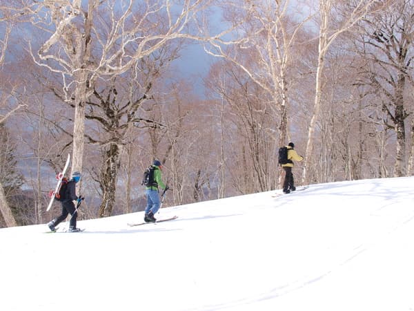 1日限定6名！一般では入れない特別な冬の尾瀬をあなただけに！ 圧雪車乗車体験＋スノーシューで雪原散歩～絶景を独占しながらの山頂ティータイム付～