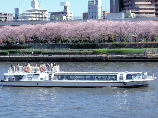 隅田川千本桜クルーズ＆築地人気店「すしざんまい」の選べるにぎり寿司ランチ - 浅草