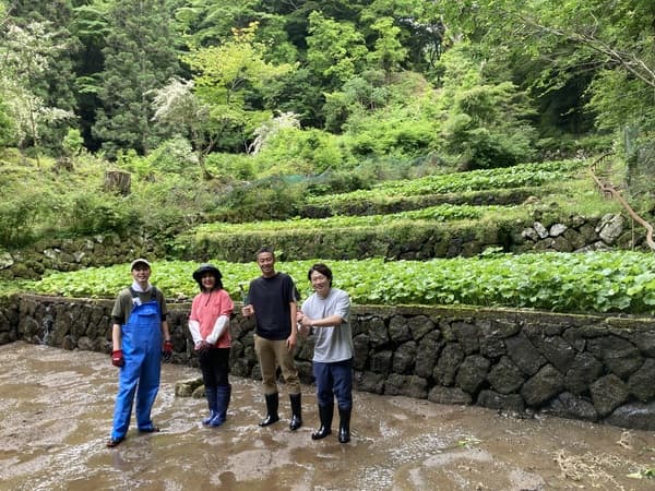 【7/26（金）・7/27（土）限定】わさび田で環境整備を含む自然体験 ‐ 静岡