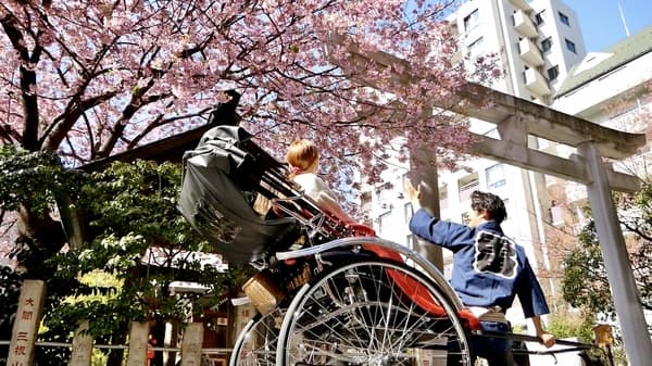 【人力車貸し切り30分】鎌倉の歴史と自然の中で～鎌倉趣の旅コース - 神奈川