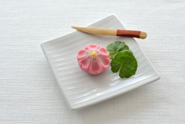 【土日祝】鎌倉のお花見のお供に！桜の練り切り和菓子作り