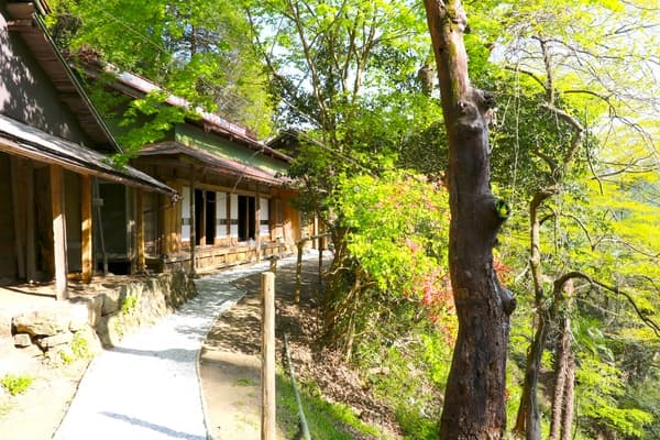 【ハイシーズン】日本の原風景がそこにある♪古民家大峰でのんびり田舎暮らし体験