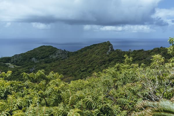 大自然の中の御嶽で自分を見つめなおすスピリチュアルウェルネスツアー - 沖縄