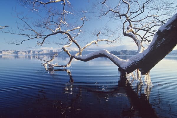 十和田八幡平国立公園　冬の絶景周遊ツアー（中国語ガイド付き） - 十和田