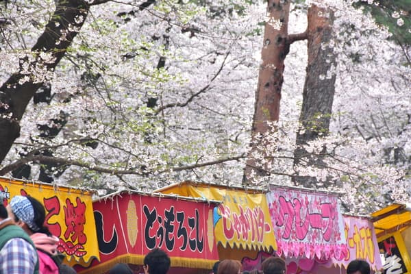 【4/2～7限定】桜の名所『山中渓』桜を眺めながら食べ歩き体験（シャトルバス付） - 大阪