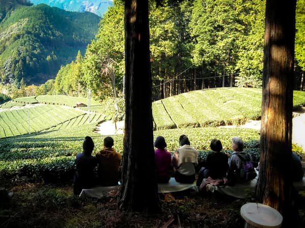 静岡の茶農園「志田島園」で茶畑＆お茶工場見学！【お茶と茶菓子・お土産付き】