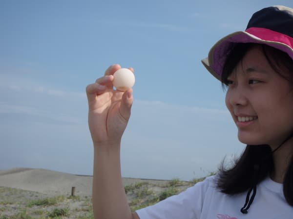 【静岡・浜松】自由研究にぴったり！ウミガメ産卵調査を体験しよう