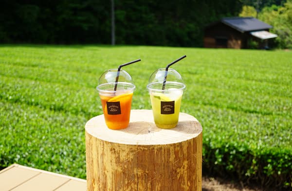 茶畑に囲まれた絶景ティーテラス体験＆お茶の飲み比べができる「グリーンエイトカフェ」